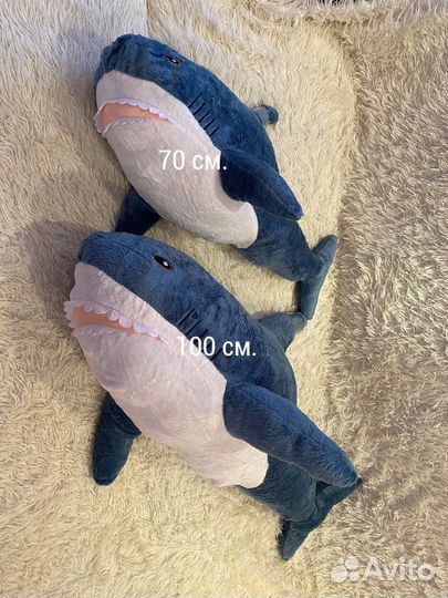 Акула блохэй из Икеи