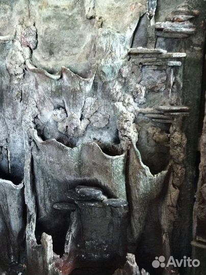 Кораллы для аквариума