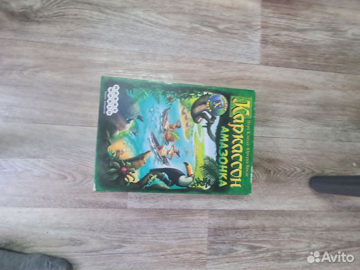 Каркассон амазонка