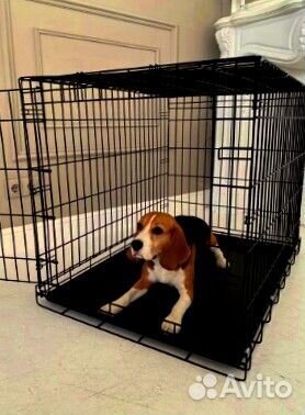 Клетка для животных