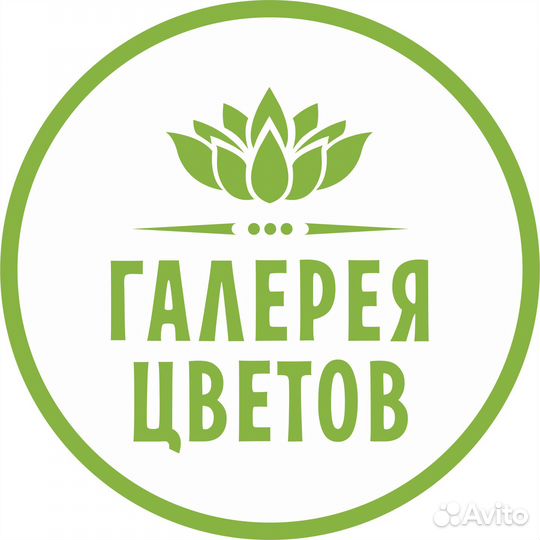 Помощник флориста