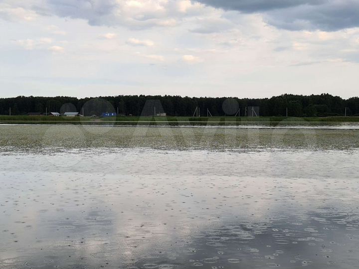 Участок 5 га (СНТ, ДНП)