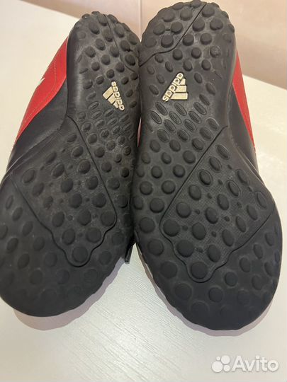 Сороконожки