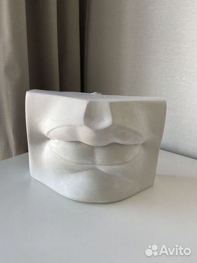 Губы давида гипс