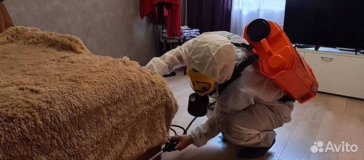 Средство для Дезинфекции Уничтожения тараканов клопов насекомых