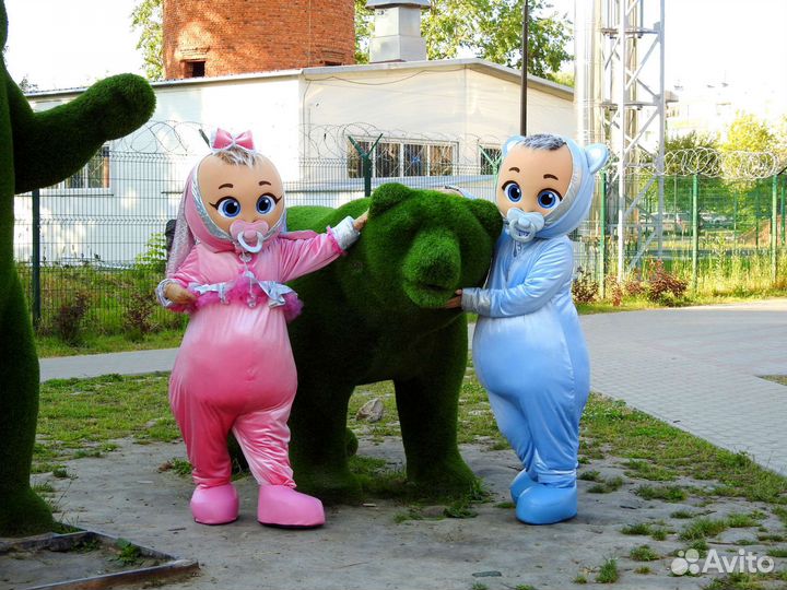 Ростовые пупсы