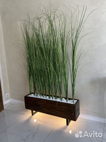 Кашпо для растений