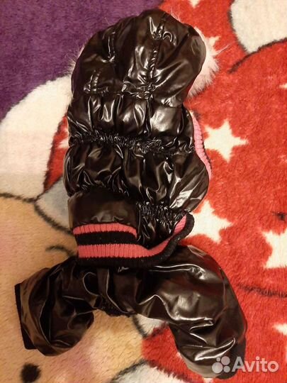 Одежда для собак