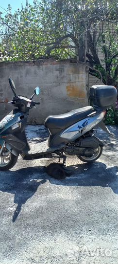 Скутер racer150t15