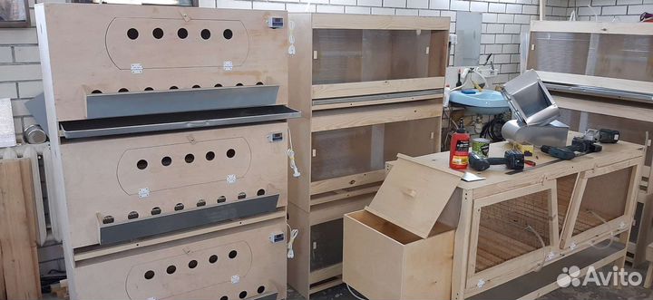 Брудер для цыплят