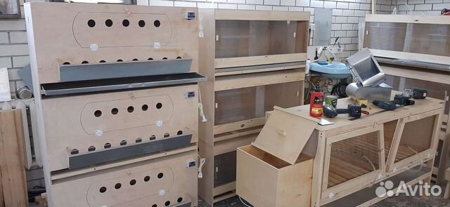 Брудер для цыплят