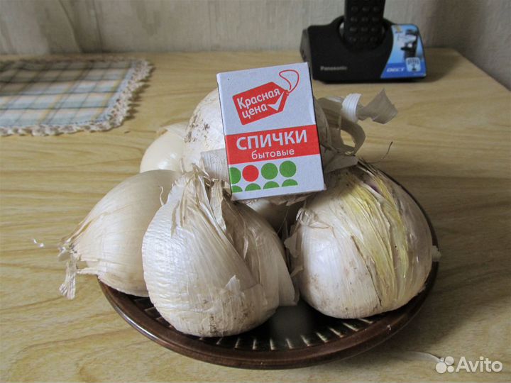 Излишки луковичных первоцветов