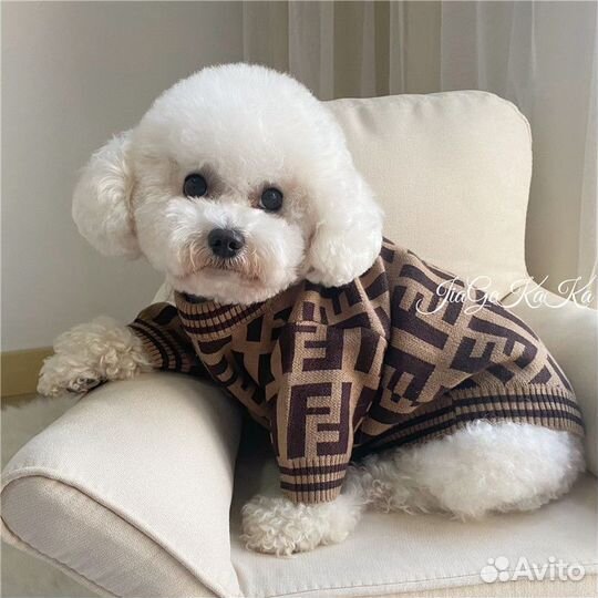 Свитер для собак и кошек Fendi