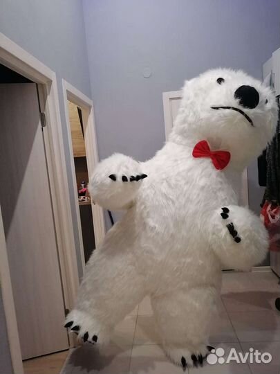 Аренда, Продам Белый мишка костюм
