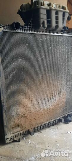 Радиатор ман тга