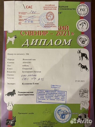 Японский хин