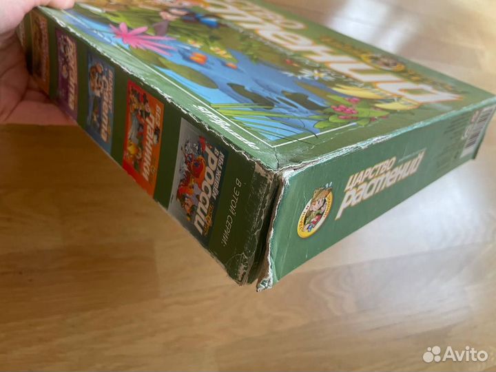 Детская игра по ботанике 