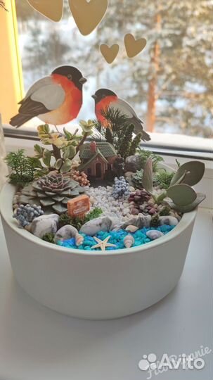 Композиция из живых растений в кашпо