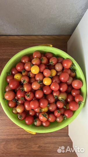 Помидорки черри