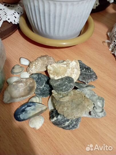 Флорариум+декор(цветной песок и др)