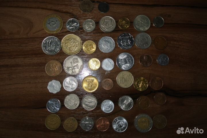 Отличный подарок начинающему коллекционеру