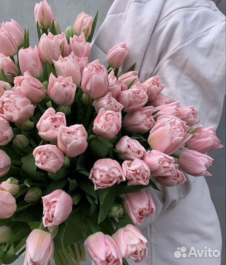 Тюльпаны. Букеты из тюльпанов. Цветы