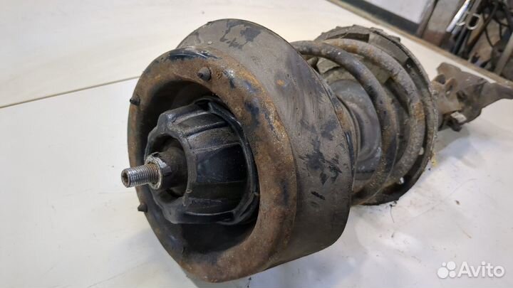 Амортизатор подвески Mercedes CLC, 2008