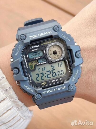 Мужские наручные часы Casio Collection WS-1700H-8A