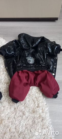 Дождевик для маленькой собаки