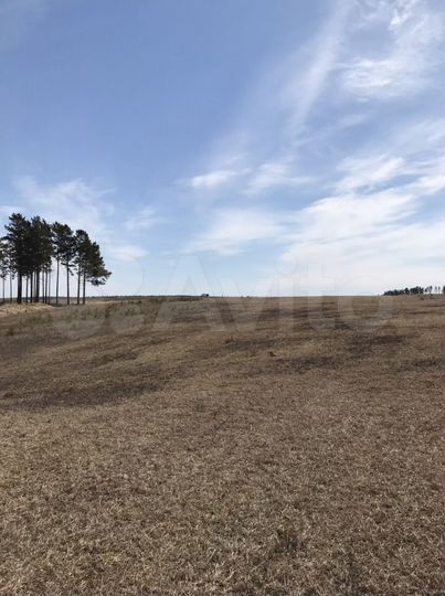 Участок 45 сот. (СНТ, ДНП)