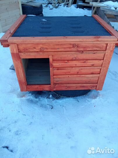 Собачья будка