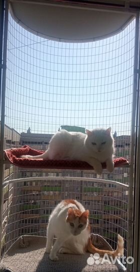 Балкончик для кошки