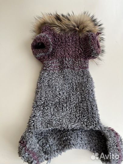 Костюм для собаки