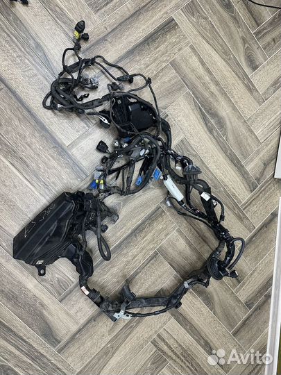 Главная проводка