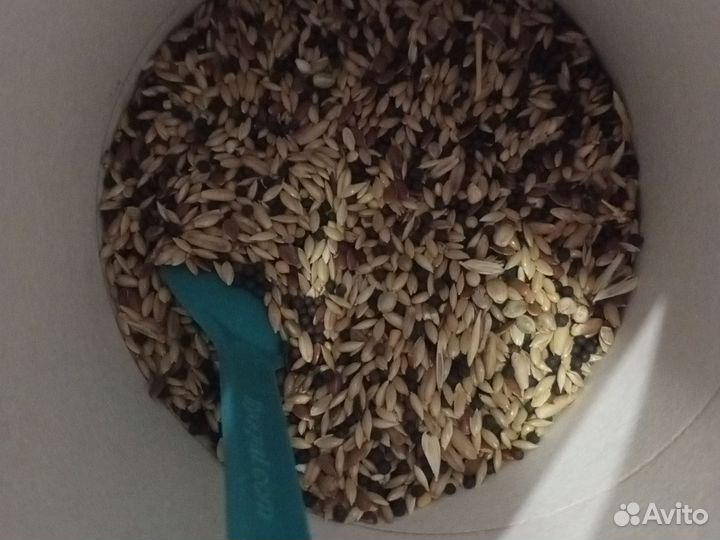 Корм для канареек от линьки