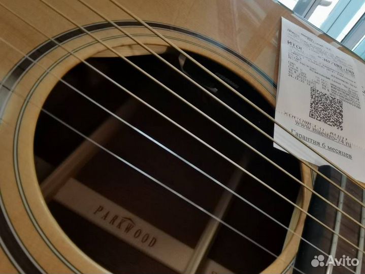 Электроакустика Parkwood S26 GT С Чехлом