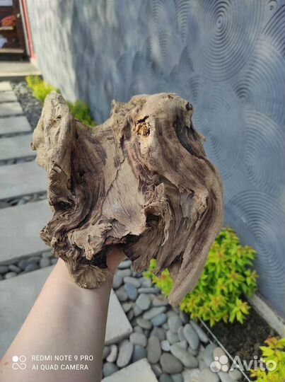 Уникальные коряги для ваших цветочных композиций