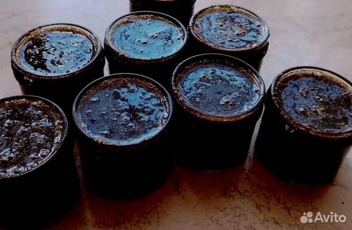 Средство от простатита