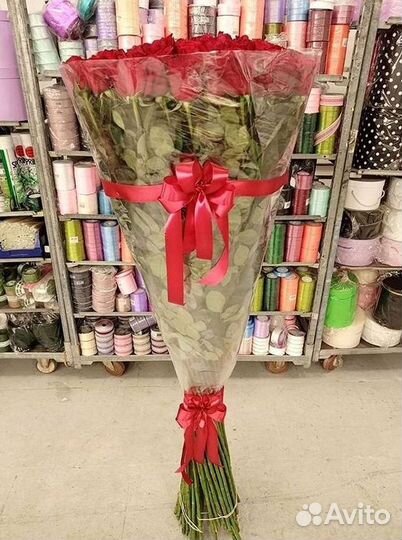 Розы Высокие 150см 160см 170см 180см 190см 2м