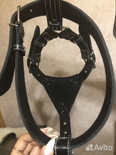 Шлейка кожаная для большой собаки