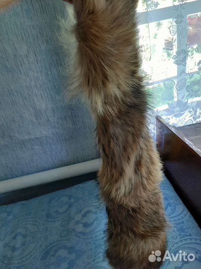 Мех натуральный