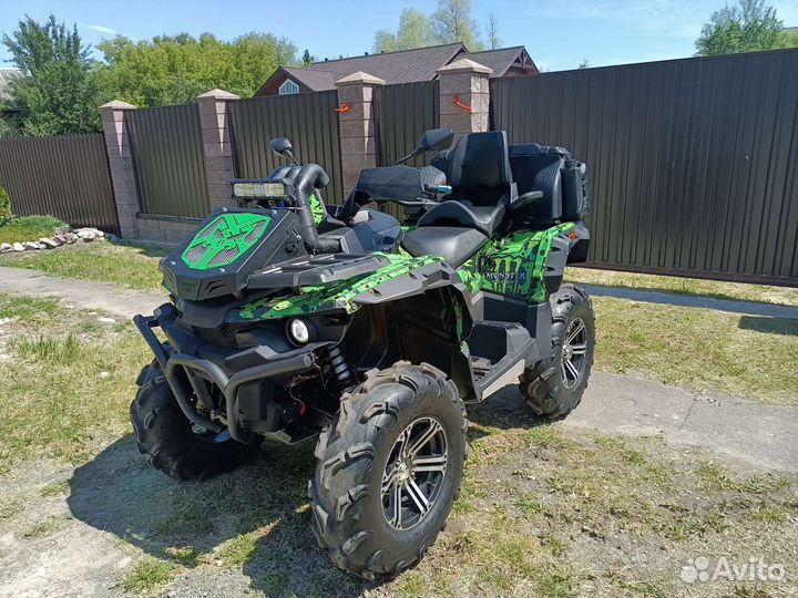 Стелс гепард