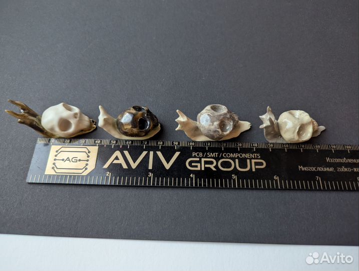 Улитки керамические