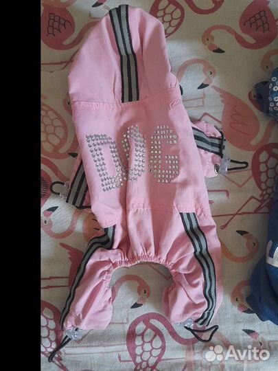 Костюмчики для маленькой собачки