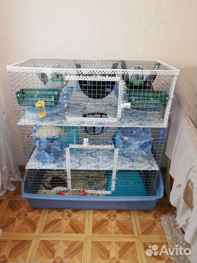 Клетка для грызунов/переноска