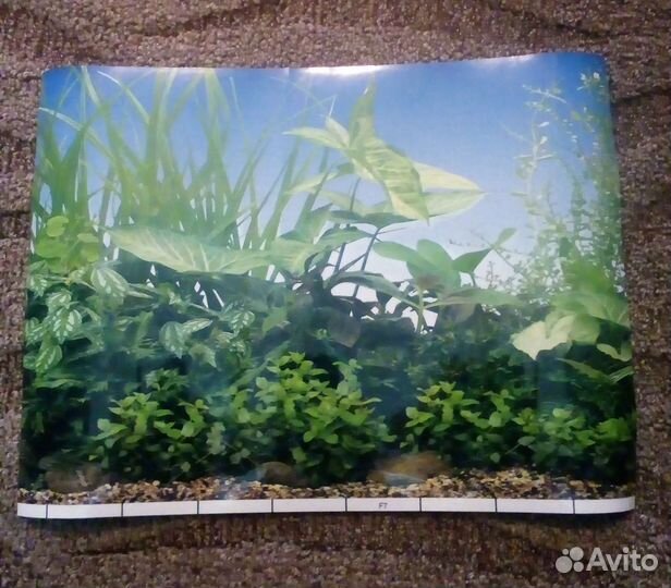 Фон задний для аквариума