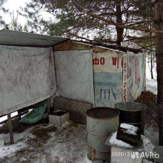 Мини ферма для разведения кроликов