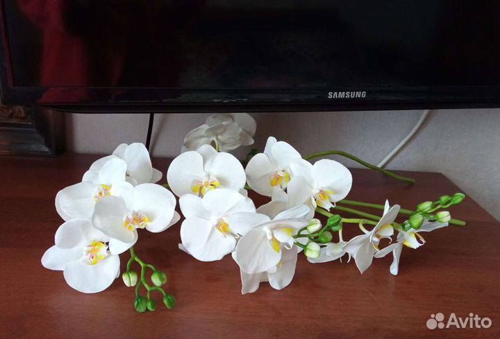 Орхидеи из полимерной глины