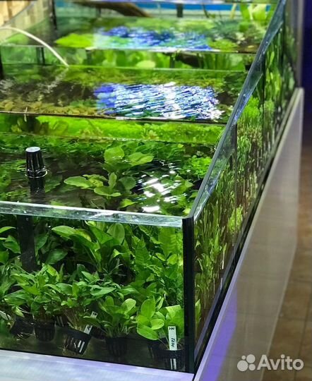 Аквариум каскад 700 литров
