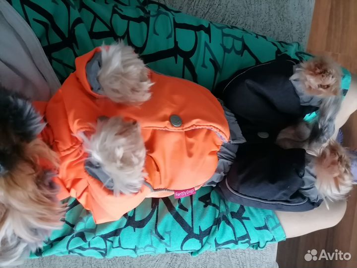 Зимний костюм для собак